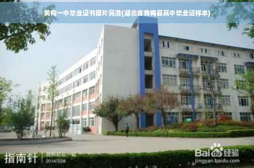 黄梅一中毕业证书图片高清(湖北省黄梅县高中毕业证样本)