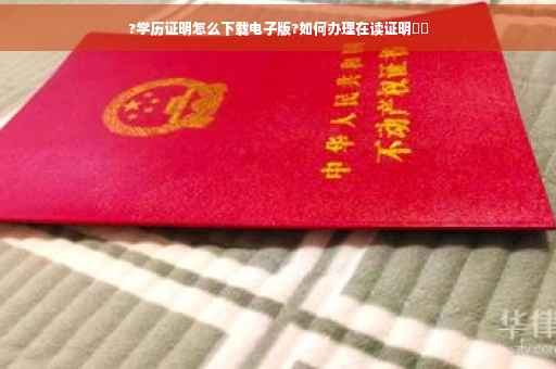 ?学历证明怎么下载电子版?如何办理在读证明⚡️