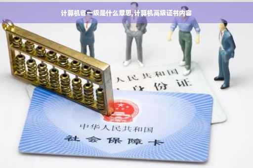 计算机省一级是什么意思,计算机高级证书内容