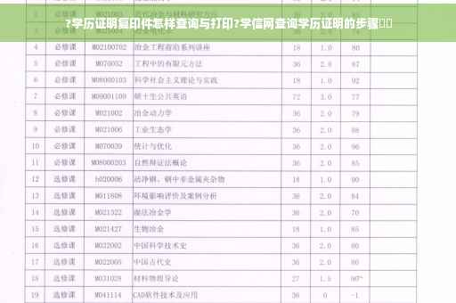 ?学历证明复印件怎样查询与打印?学信网查询学历证明的步骤⚡️
