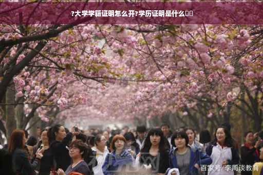 ?大学学籍证明怎么开?学历证明是什么⚡️