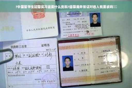 ?中国留学生回国实习需要什么资料?德国商务签证对收入有要求吗⚡️