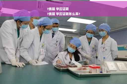 ?携程 学历证明
?携程 学历证明怎么弄?