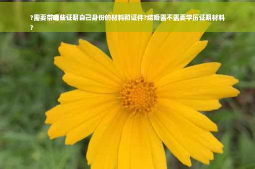 ?需要带哪些证明自己身份的材料和证件?结婚需不需要学历证明材料
?
