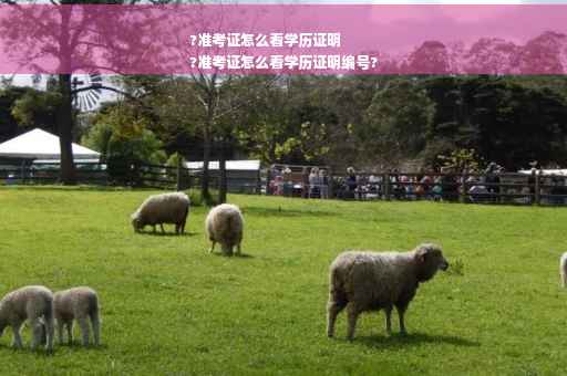 ?准考证怎么看学历证明
?准考证怎么看学历证明编号?