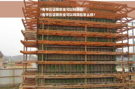 ?有学历证明创业可以吗现在
?有学历证明创业可以吗现在怎么样?