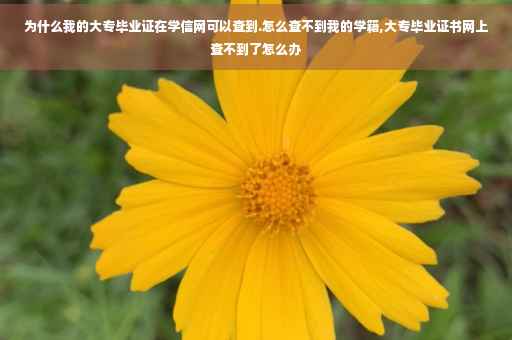 为什么我的大专毕业证在学信网可以查到.怎么查不到我的学籍,大专毕业证书网上查不到了怎么办