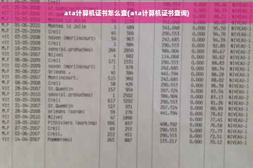 ata计算机证书怎么查(ata计算机证书查询)