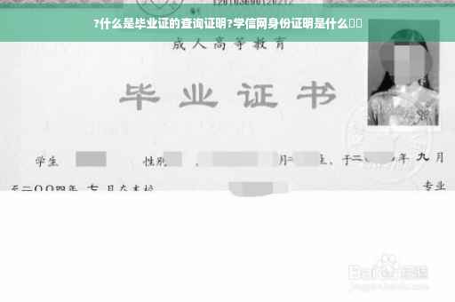?什么是毕业证的查询证明?学信网身份证明是什么⚡️