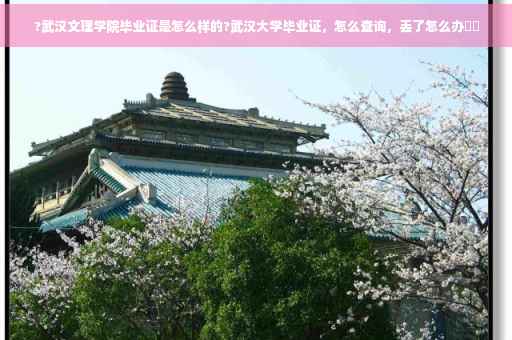 ?武汉文理学院毕业证是怎么样的?武汉大学毕业证，怎么查询，丢了怎么办⚡️