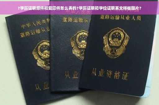 ?学历证明原件和复印件怎么弄的?学历证明和学位证明英文样板图片?