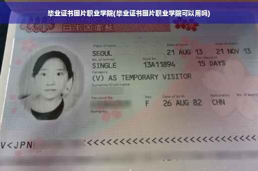 毕业证书图片职业学院(毕业证书图片职业学院可以用吗)