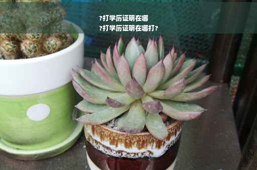 ?打学历证明在哪
?打学历证明在哪打?