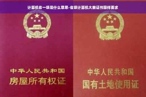 计算机省一级是什么意思-省级计算机大赛证书图样要求