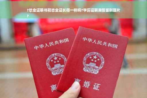 ?毕业证明书和毕业证长得一样吗?学历证明真假鉴别图片
?