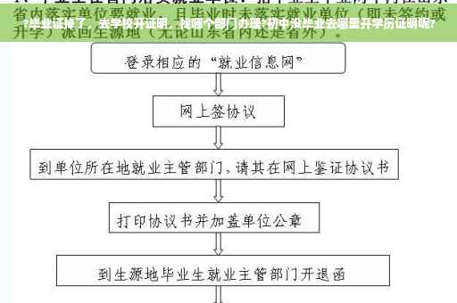 ?毕业证掉了，去学校开证明，找哪个部门办理?初中没毕业去哪里开学历证明呢?