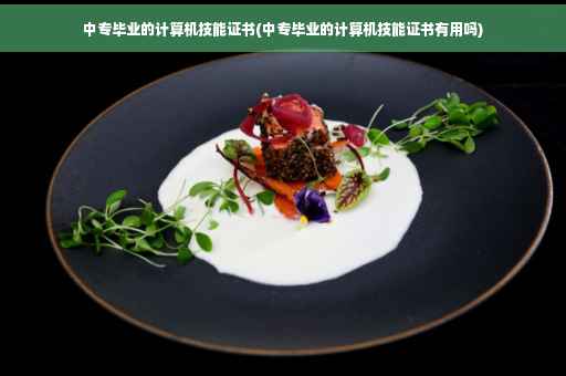 中专毕业的计算机技能证书(中专毕业的计算机技能证书有用吗)