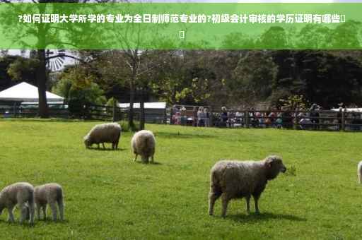 ?如何证明大学所学的专业为全日制师范专业的?初级会计审核的学历证明有哪些⚡️