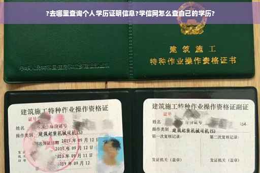 ?去哪里查询个人学历证明信息?学信网怎么查自己的学历?