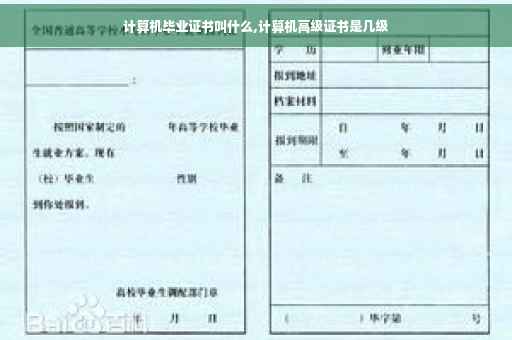 计算机毕业证书叫什么,计算机高级证书是几级