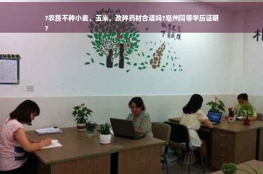 ?农民不种小麦、玉米，改种药材合适吗?亳州同等学历证明
?