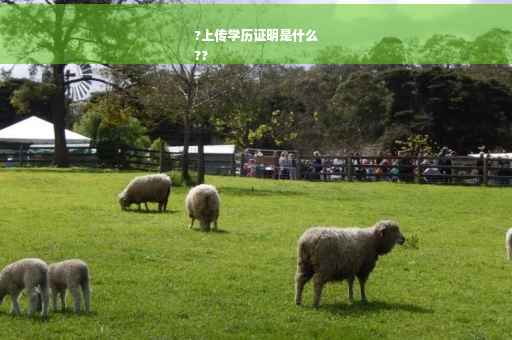 ?上传学历证明是什么
??
