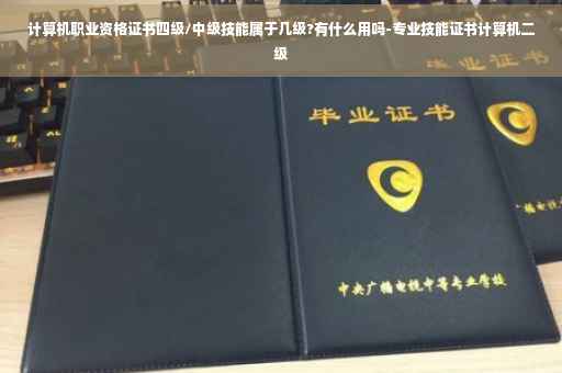 计算机职业资格证书四级/中级技能属于几级?有什么用吗-专业技能证书计算机二级