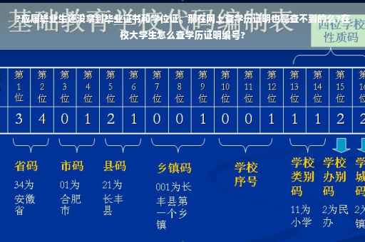 ?应届毕业生还没拿到毕业证书和学位证。那在网上查学历证明也是查不到的么?在校大学生怎么查学历证明编号?