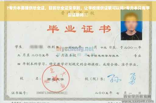 ?专升本要提供毕业证，目前毕业证没拿到，让学校提供证明可以吗?专升本只有学历证明吗⚡️