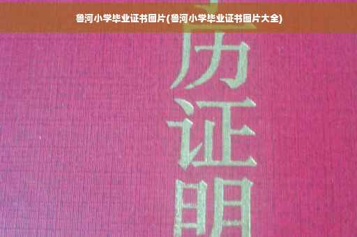 鲁河小学毕业证书图片(鲁河小学毕业证书图片大全)