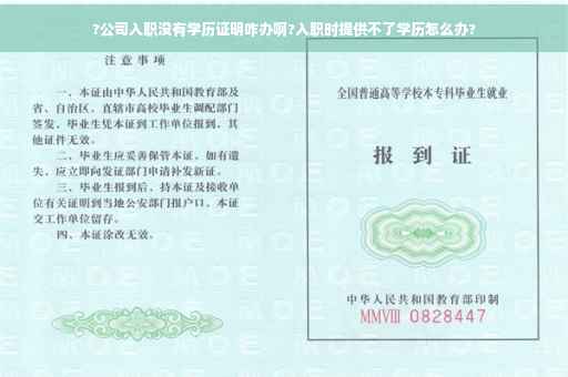 ?公司入职没有学历证明咋办啊?入职时提供不了学历怎么办?