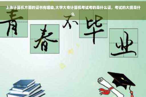 上海计算机方面的证书有哪些,大学大专计算机考试考的是什么证，考试的大纲是什么