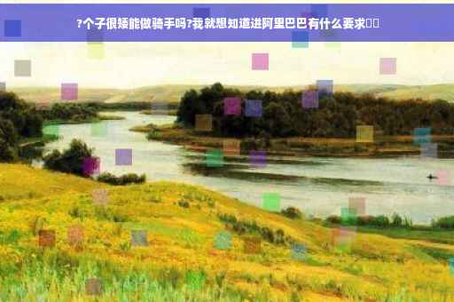 ?个子很矮能做骑手吗?我就想知道进阿里巴巴有什么要求⚡️