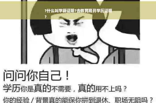 ?什么叫学籍证明?去教育局开学历证明
?