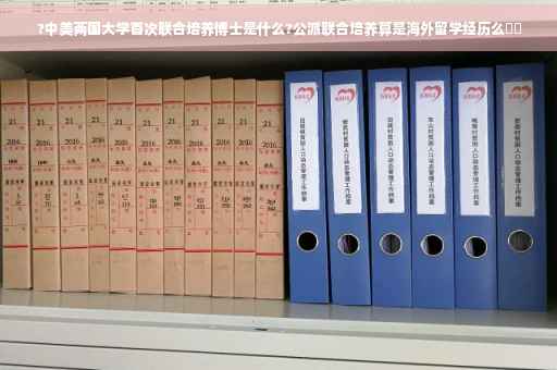 ?中美两国大学首次联合培养博士是什么?公派联合培养算是海外留学经历么⚡️