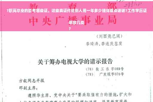 ?职高毕业的能考哪些证。这些真证件给别人用一年多少钱详细点谢谢?工作学历证明放几类
?