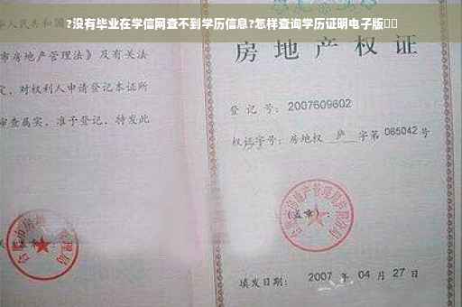?没有毕业在学信网查不到学历信息?怎样查询学历证明电子版⚡️