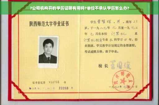 ?公司机构开的学历证明有用吗?单位不承认学历怎么办?