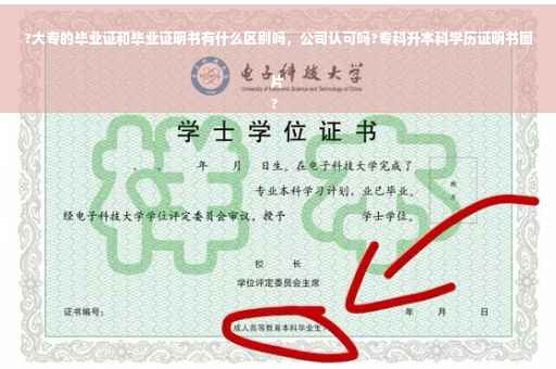 ?大专的毕业证和毕业证明书有什么区别吗，公司认可吗?专科升本科学历证明书图片
?