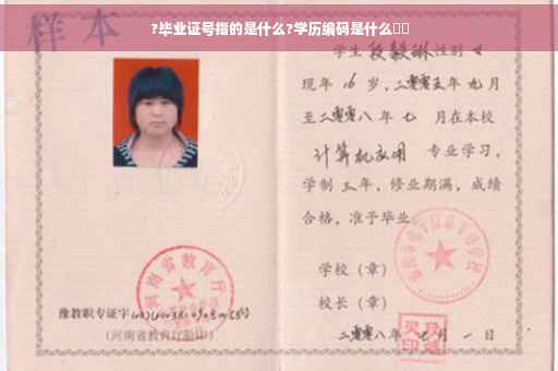 ?毕业证号指的是什么?学历编码是什么⚡️