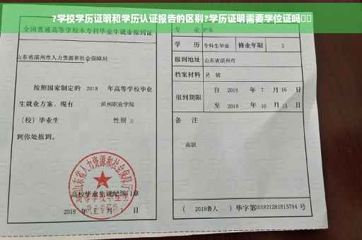 ?学校学历证明和学历认证报告的区别?学历证明需要学位证吗⚡️