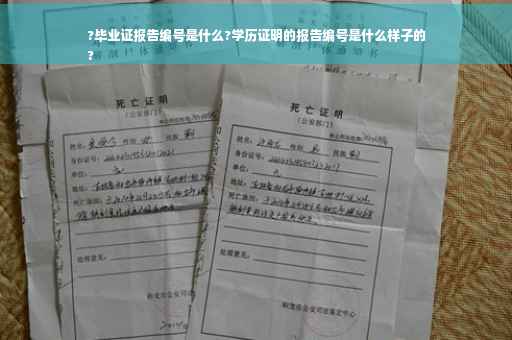?毕业证报告编号是什么?学历证明的报告编号是什么样子的
?