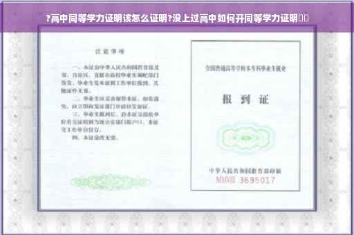 ?高中同等学力证明该怎么证明?没上过高中如何开同等学力证明⚡️
