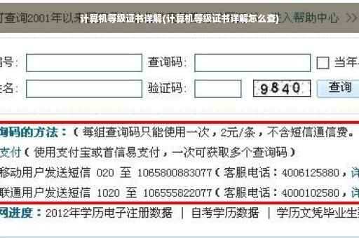 计算机等级证书详解(计算机等级证书详解怎么查)