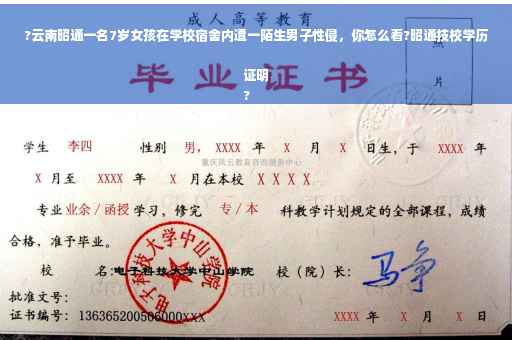 ?云南昭通一名7岁女孩在学校宿舍内遭一陌生男子性侵，你怎么看?昭通技校学历证明
?