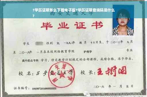 ?学历证明怎么下载电子版?学历证明查询码是什么
?