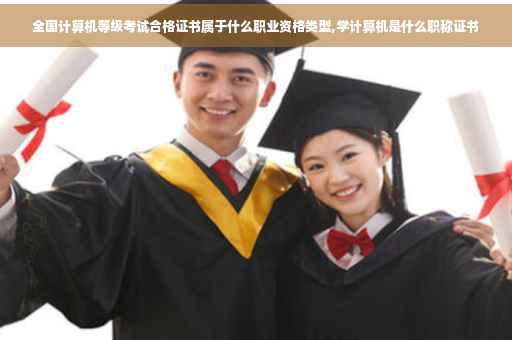 全国计算机等级考试合格证书属于什么职业资格类型,学计算机是什么职称证书
