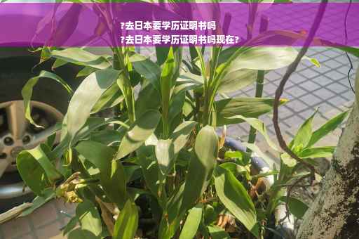 ?去日本要学历证明书吗
?去日本要学历证明书吗现在?