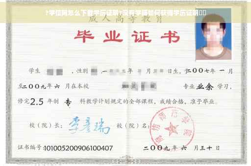 ?学信网怎么下载学历证明?没有学籍如何获得学历证明⚡️