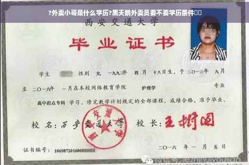 ?外卖小哥是什么学历?黑天鹅外卖员要不要学历条件⚡️